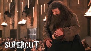 Harry Potter  Best of Hagrid [upl. by Asek]