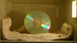 THE BEST CD In Microwave [upl. by Enelaehs]