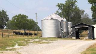 Shady Brook Angus Farm slideshow [upl. by Enoval]