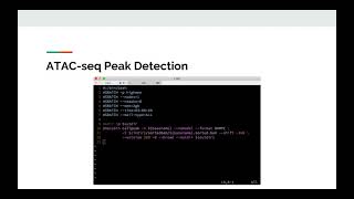 ATACseq analysis [upl. by Yrebmik]