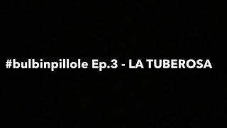 bulbinpillole Ep3  LA TUBEROSA [upl. by Etnasa808]