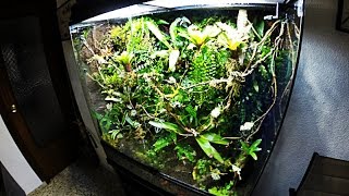 Paludarium set up [upl. by Atwood770]