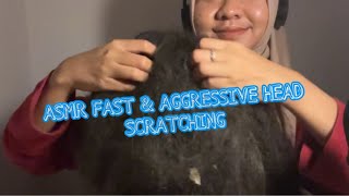 no talking ASMR Fast amp Aggressive Scalp Scratching  Deep Relaxation for Sleep [upl. by Aneryc]