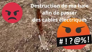 Ils enterrent des cables électriques et détruisent ma haie darbres et arbustes [upl. by Ayr13]