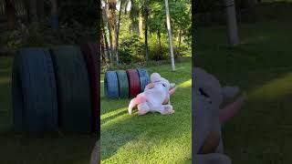 El unicornio 🦄 mágico 🪄 que le está dando la vuelta al mundo 🌍 broma de humor ❤️🤣 video funny [upl. by Ecirtal]