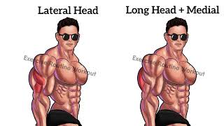 Best 3 Lateral Head Medial Head and Long Head Tricep Exercises Gym Workout Triceps [upl. by Ullman]