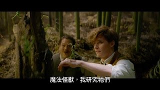 【怪獸與牠們的產地】紐特的皮箱篇 [upl. by Ignace]