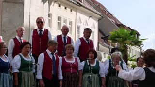 Junga Tåg  Gemischter Chor Liebenfels Live Aufnahme vom 15 Juli 2020 in St Veit ad Glan [upl. by Narag597]