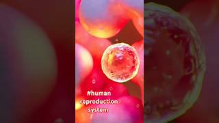 Human reproduction system lactation and parturition doctor shots biology [upl. by Arihsak]