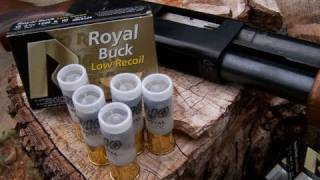 Low Recoil 12 gauge 00 BuckShot Test [upl. by Pejsach]