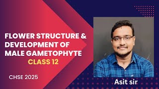 Structure of flower amp Development of male gametophyte  Class 12  CHSE 2025 [upl. by Dorey]