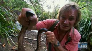 Austin Stevens  Snakemaster  Valley of Snakes  Part 2 [upl. by Haneekas]