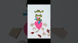 هل تعلم معلومه مفيده عن جسم الانسانshorts اكسبلور ترند معلومات [upl. by Zaneta891]