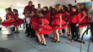 Joey Foley  The Midnight Clogging Express  Lake Alfred Bluegrass Bash 2015 [upl. by Emlin]