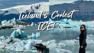 Icelands Coolest ICE [upl. by Ialocin]