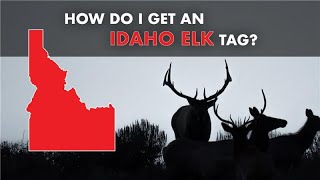 How Do I Get an Elk Tag in Idaho  MASTERING THE DRAW [upl. by Ruscio826]