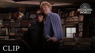 Gilderoy Lockhart  Harry Potter and the Chamber of Secrets [upl. by Cirdec]