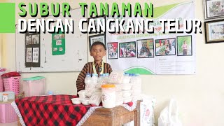 Tanaman Subur Dijamin Manjur dengan Pupuk Cangkang Telur [upl. by Charline]