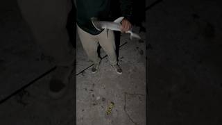 Awesome bonnethead shark… 🦈 fishing saltwater fish [upl. by Hoxie]