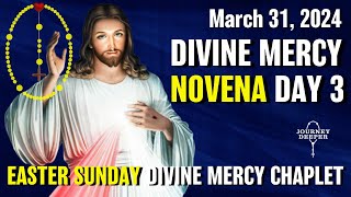 Divine Mercy Novena Day 3 ✝️ with Chaplet of Divine Mercy ✝️ March 31 2024 [upl. by Beatrisa584]