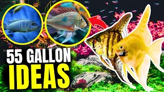 Best Fish for 55 Gallon Tanks Plus Tips amp Stock Ideas [upl. by Eldora]