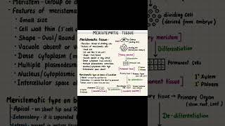 ANATOMY OF FLOWERING PLANTS CLASS 12 CBSENEETshorts [upl. by Jerusalem]