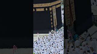 Kaaba Live🔴 Today  7 November 2024  tawafekaaba kaabalive ytshorts makkahofficial [upl. by Nylhtac719]