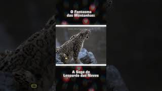 O Fantasma das Montanhas A Saga do Leopardo das Neves [upl. by Weston]