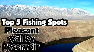 TOP 5 Fishing Spots  Pleasant Valley Reservoir  BishopCA [upl. by Erida]