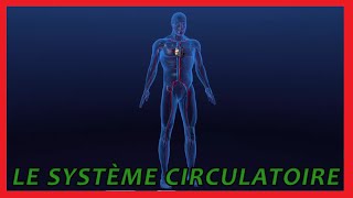 Le système circulatoire [upl. by Navarro477]