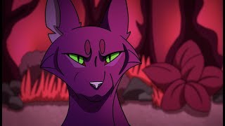 Mirrors  Hollyleaf PMV [upl. by Anirac671]