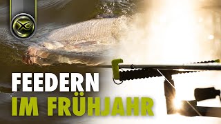 FEEDERN im FRÜHJAHR  Die Fische erwachen [upl. by Augustin]