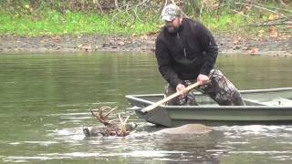 Veterinarian and his Son rescue a 10 Point Buck [upl. by Girvin471]