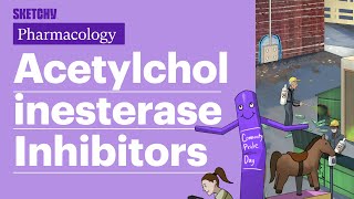 Acetylcholinesterase InhibitorsMyasthenia Gravis TreatmentPart 1  Sketchy Medical  USMLE Step 1 [upl. by Caren94]