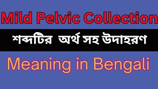 Mild Pelvic Collection Meaning In Bengali Mild Pelvic Collection mane ki [upl. by Nareik25]