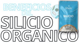 silicio orgánico y sus beneficios artritis demencia varices y más [upl. by Ahcas206]