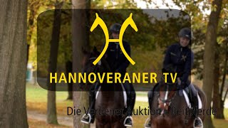 Hannoveraner TV  Die Verdener Auktion  Reitpferde [upl. by Ytirev]