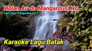 Holan Au Do Mangantusi ho CiptTagor Pangaribuan karaoke Lagu Batak [upl. by Ilrak]