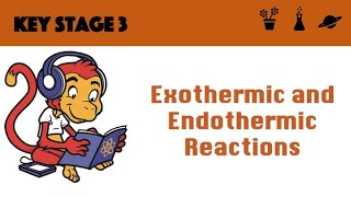 Exothermic and Endothermic Reactions [upl. by Abey567]