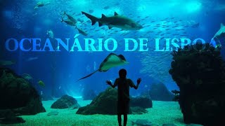 Lisbon Sea Aquarium Portugal Full Tour in 4K [upl. by Annat862]