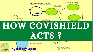 How vaccine Covishield works Covishield mechanism of action  Vaccine immune response [upl. by Hahseram]