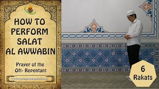 How to perform Salat al Awwabin Prayer of the Oft Repentant [upl. by Farant637]