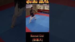 Kata Tutorial Bassai Dai karate karatekata bassaidai [upl. by Lairret]