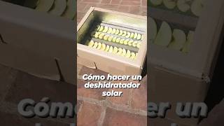 Cómo hacer un deshidratador solar [upl. by Nekal]