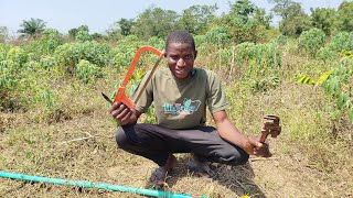 How to set up Drip Irrigation [upl. by Aikyt]