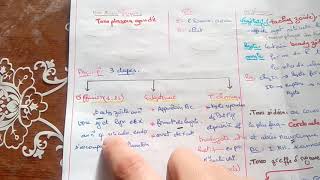 Toxoplasmose  définition mode de contaminationcycle biologiqueclinique diagnostic [upl. by Polloch]