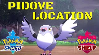 Pokemon Sword And Shield Pidove Location [upl. by Sutit]