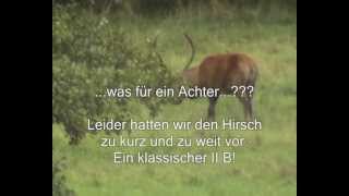 Rekordstrecke ein kapitaler und ein abnormer Hirsch [upl. by Seebeck149]