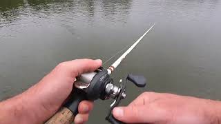 Craziest Striped Bass Schools Loaded the boat for 8 hours [upl. by Treblah]