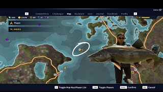 Call Of The Wild The Angler  Sidewinder 31102024 gaming fishing theangler gameplay explore [upl. by Julianne]